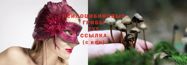кокс Володарск