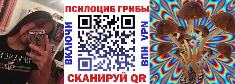 Галлюциногенные грибы ЛСД  Нестеров 